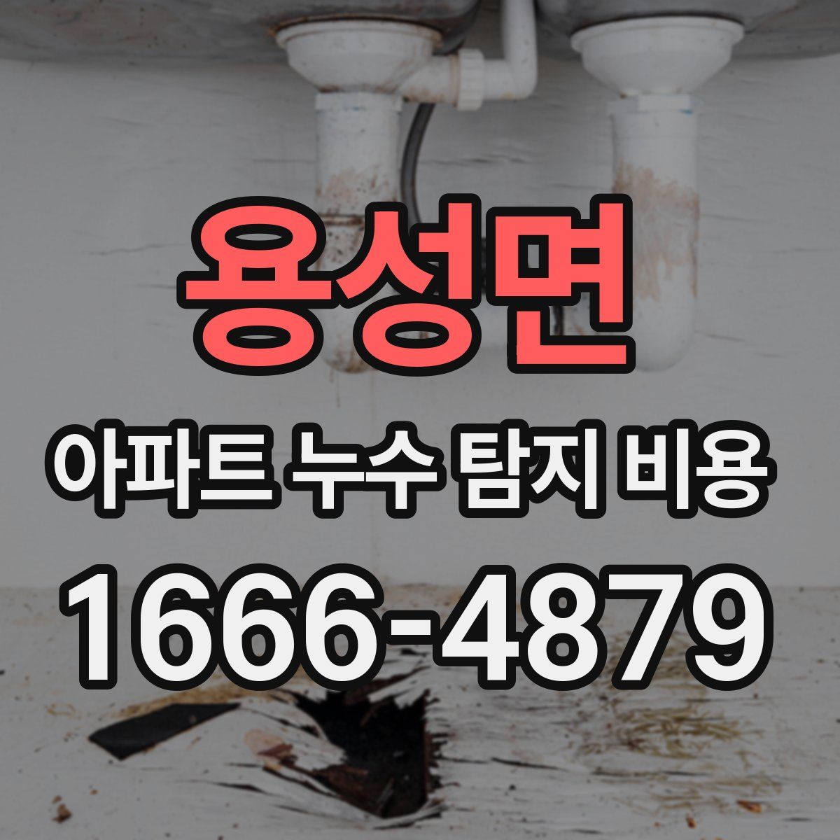 용성면 아파트 누수 탐지 비용