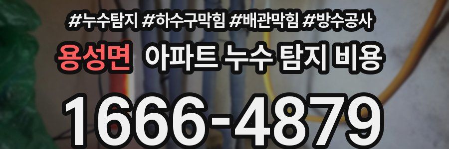 용성면 아파트 누수 탐지 비용