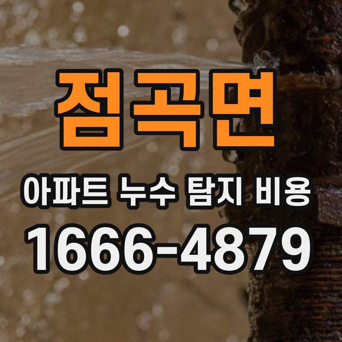 점곡면 아파트 누수 탐지 비용