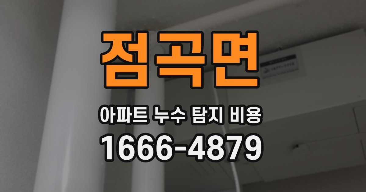 점곡면 아파트 누수 탐지 비용
