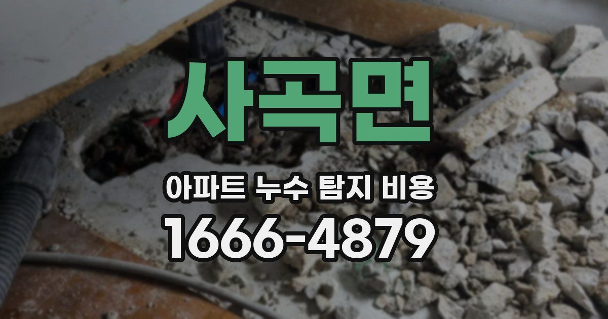 사곡면 아파트 누수 탐지 비용