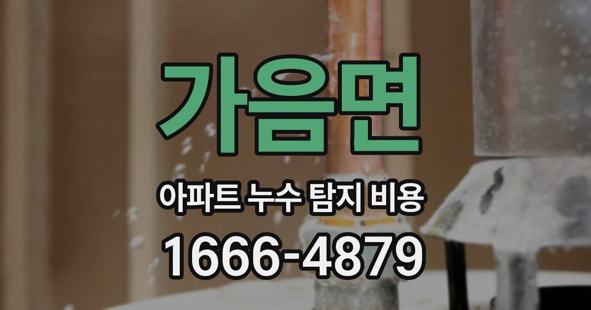 가음면 아파트 누수 탐지 비용
