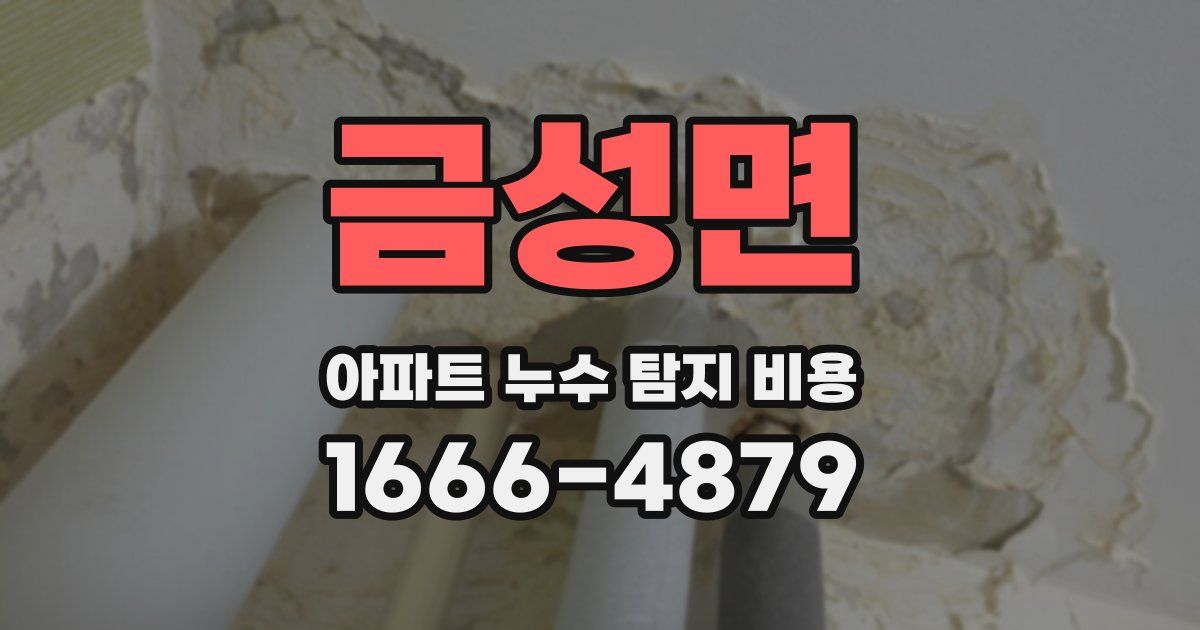 금성면 아파트 누수 탐지 비용
