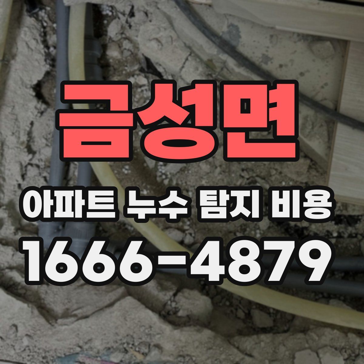 금성면 아파트 누수 탐지 비용