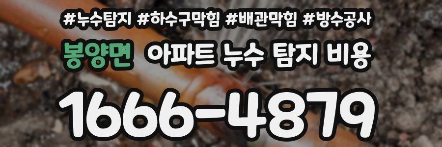 봉양면 아파트 누수 탐지 비용