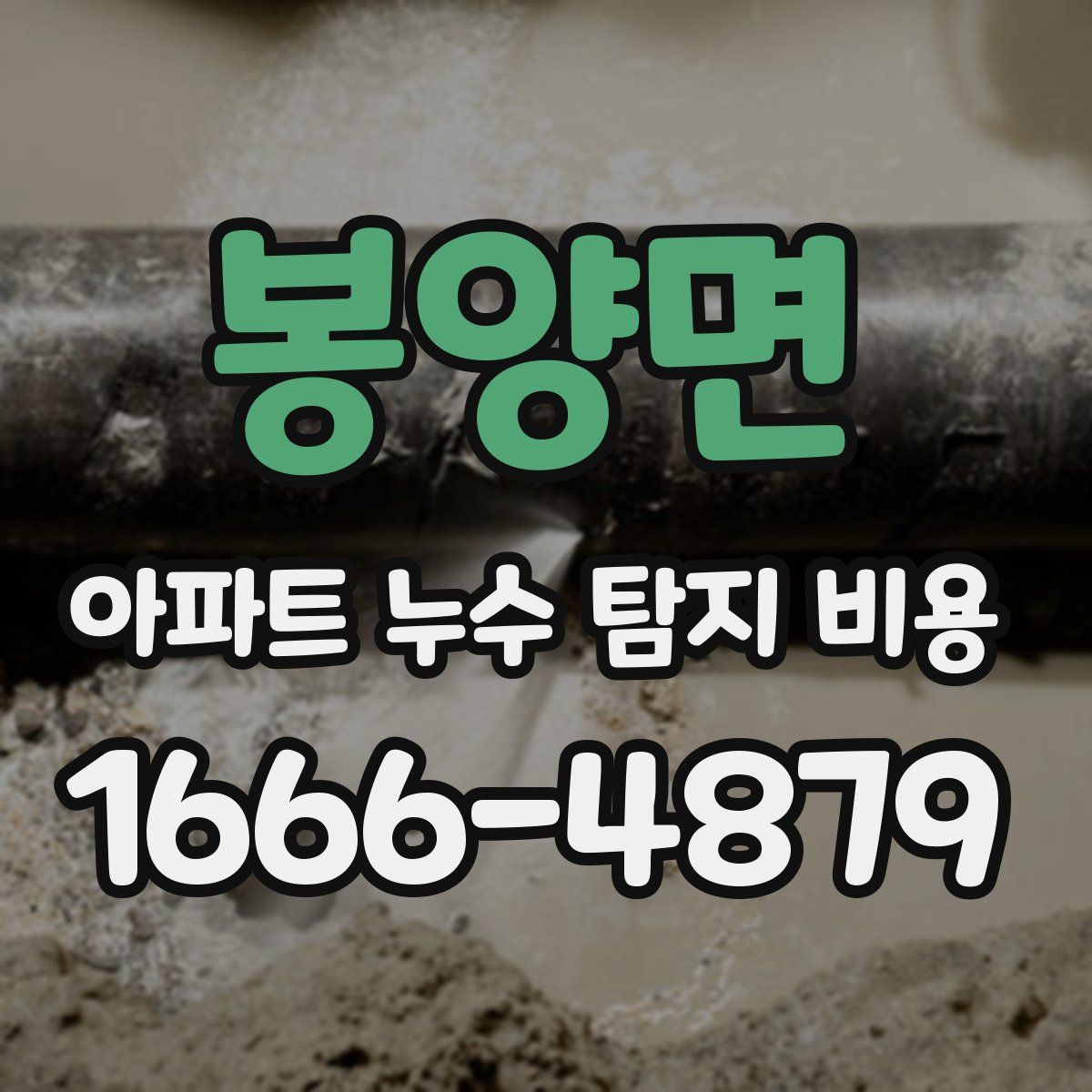 봉양면 아파트 누수 탐지 비용