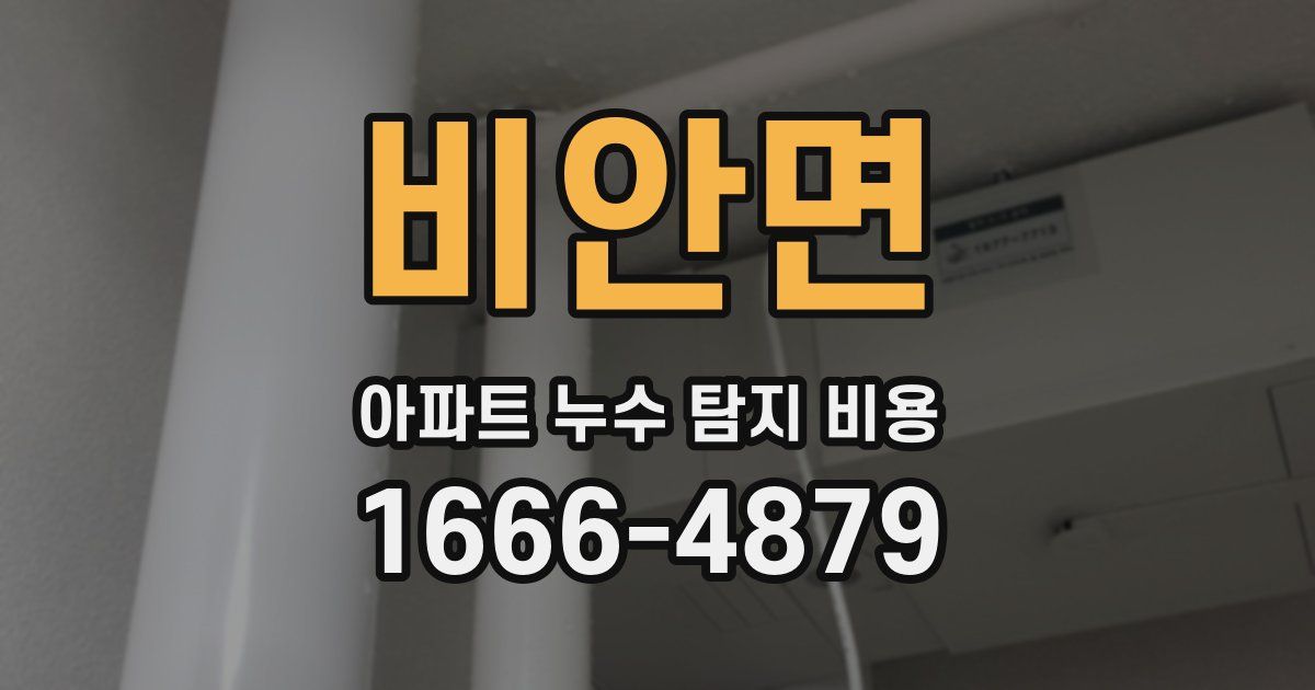 비안면 아파트 누수 탐지 비용