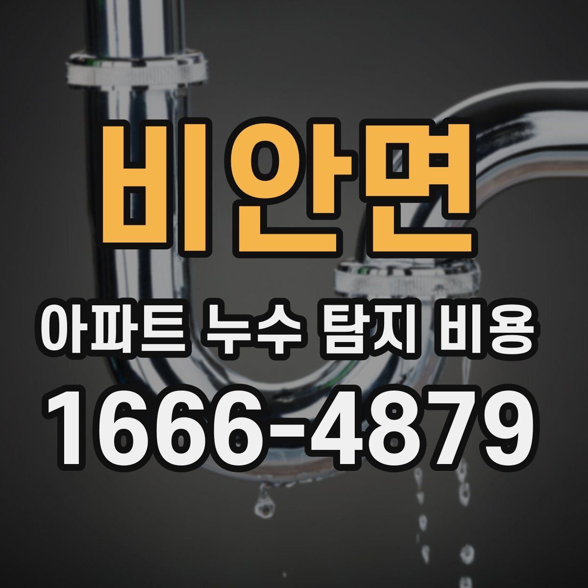 비안면 아파트 누수 탐지 비용