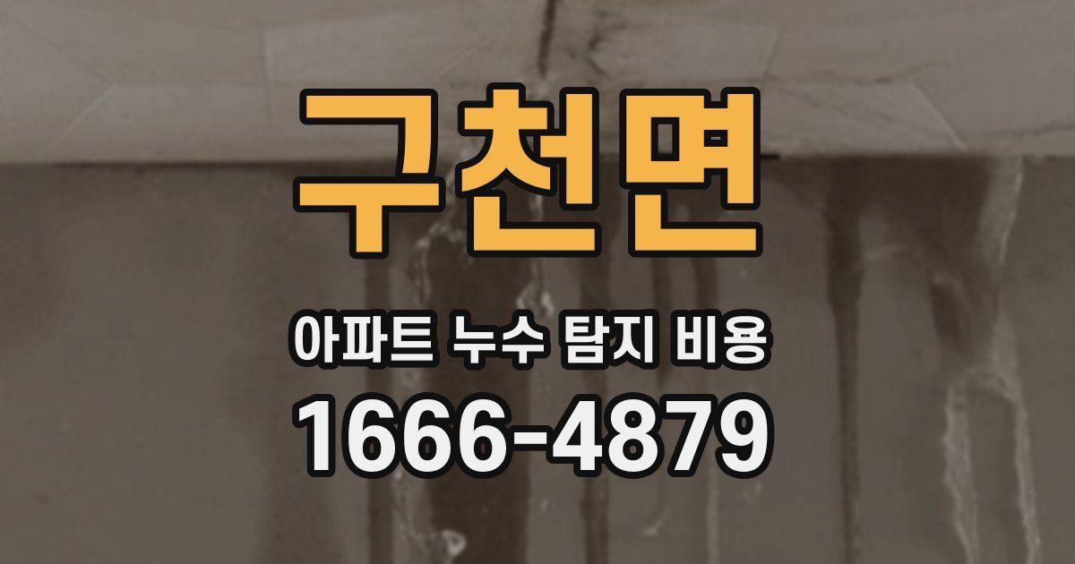 구천면 아파트 누수 탐지 비용