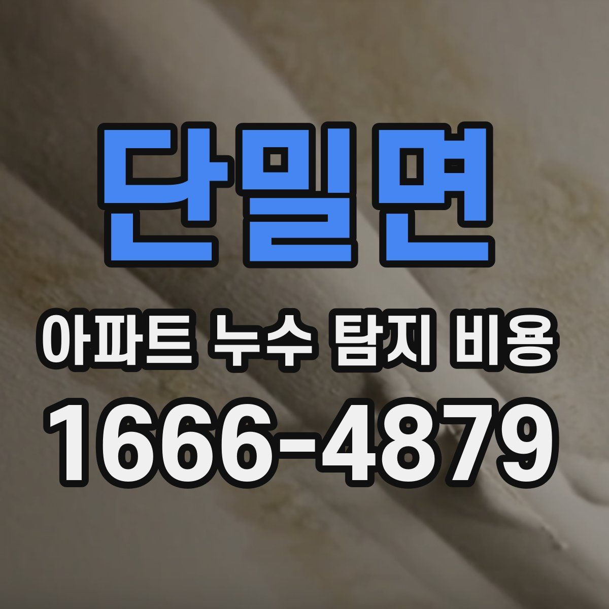 단밀면 아파트 누수 탐지 비용