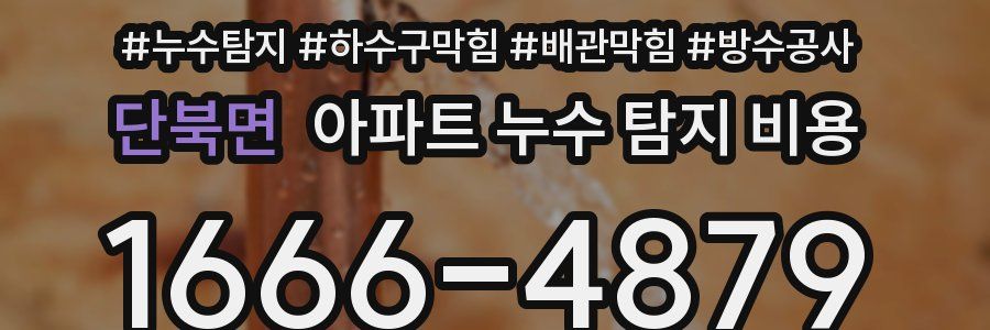 단북면 아파트 누수 탐지 비용