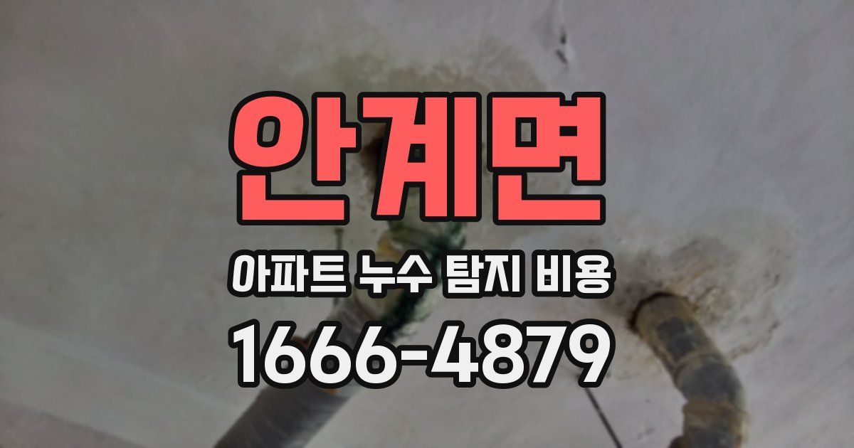 안계면 아파트 누수 탐지 비용