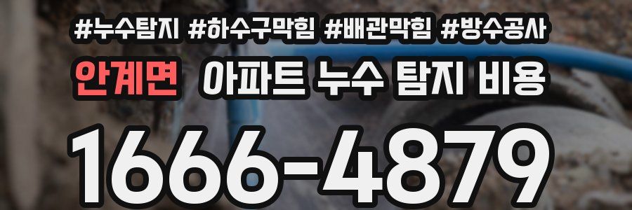 안계면 아파트 누수 탐지 비용
