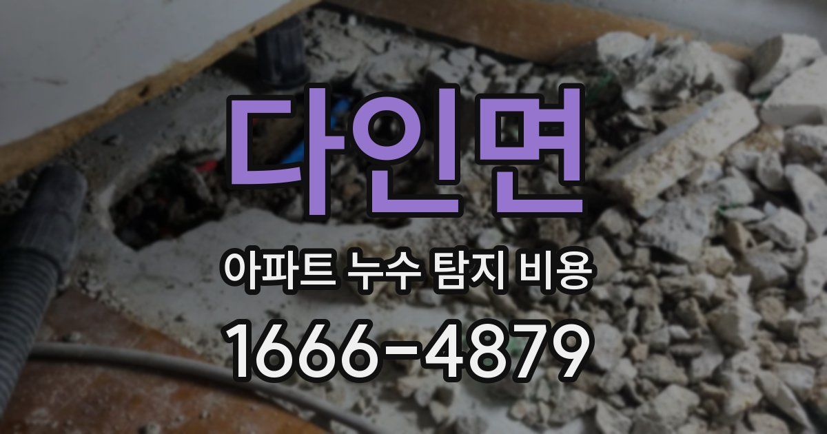 다인면 아파트 누수 탐지 비용