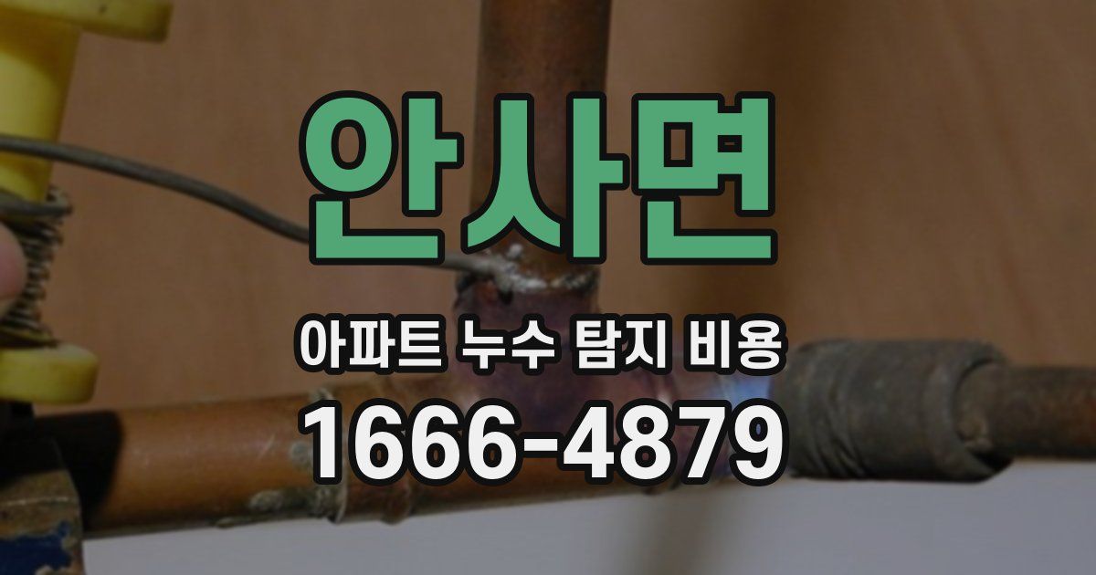안사면 아파트 누수 탐지 비용