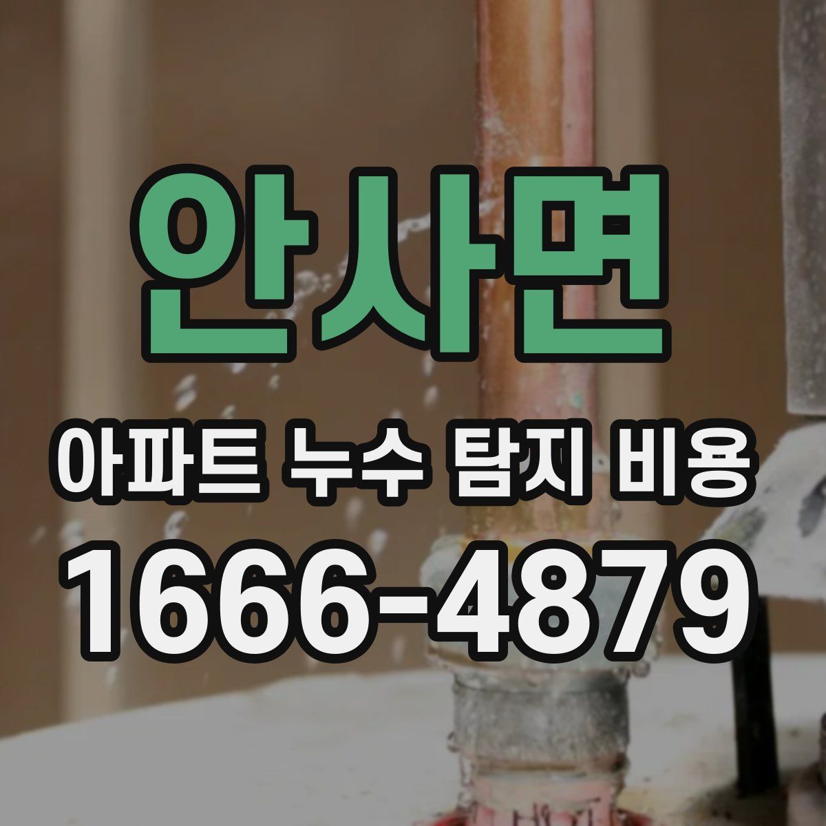 안사면 아파트 누수 탐지 비용