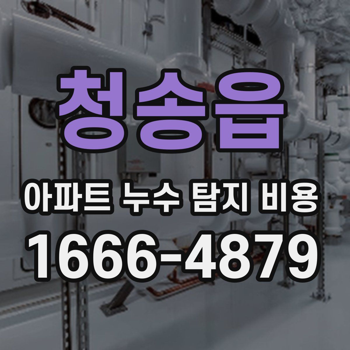 청송읍 아파트 누수 탐지 비용