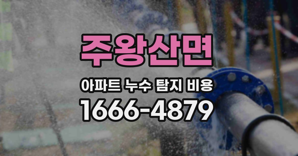 주왕산면 아파트 누수 탐지 비용