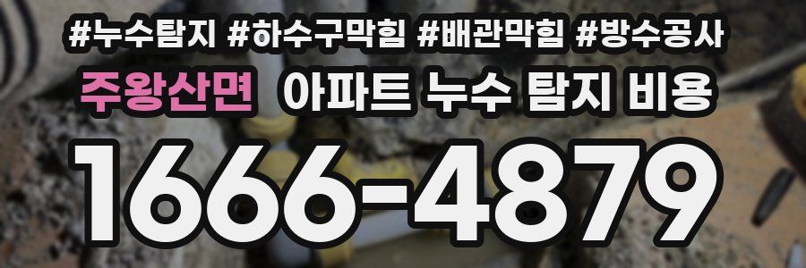 주왕산면 아파트 누수 탐지 비용