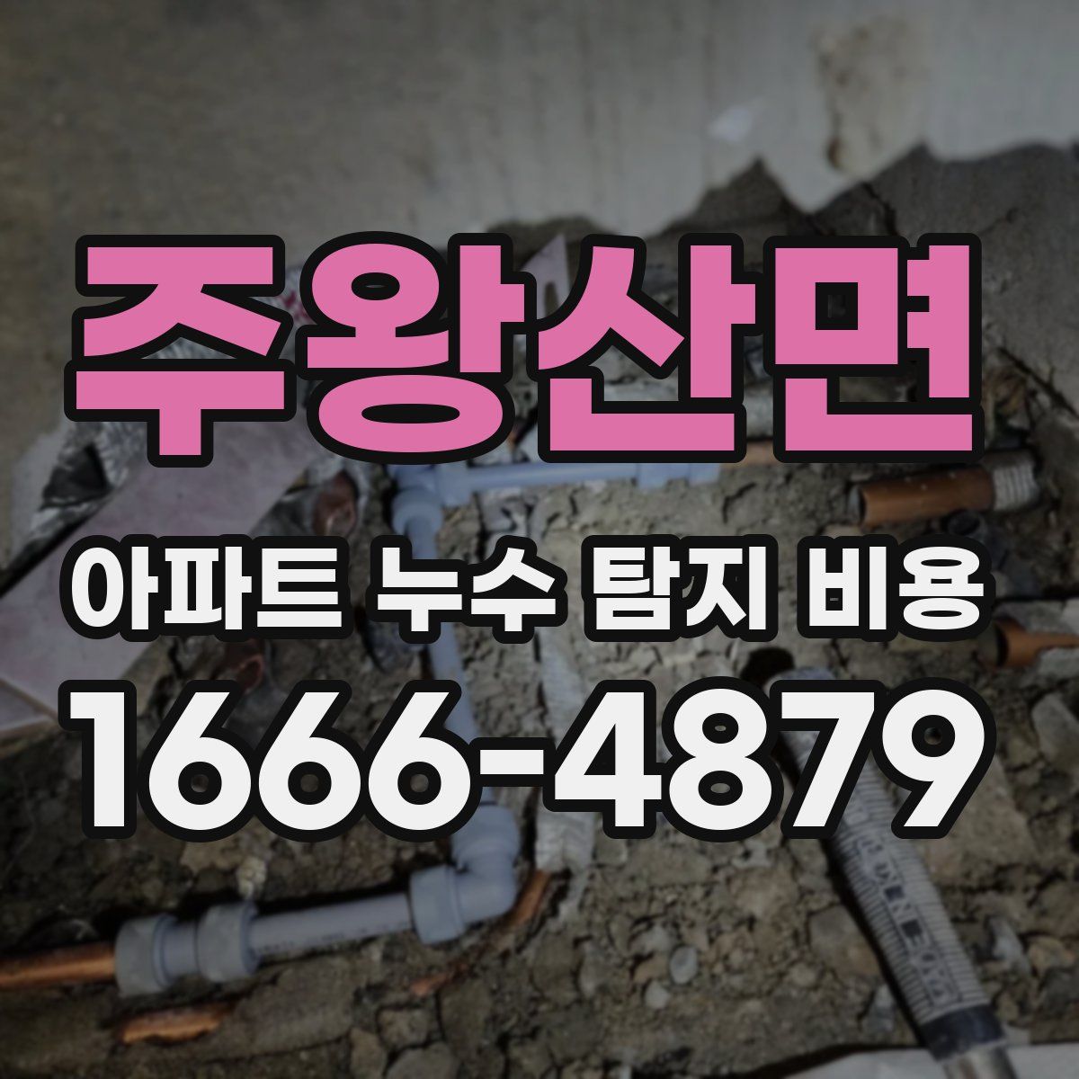 주왕산면 아파트 누수 탐지 비용