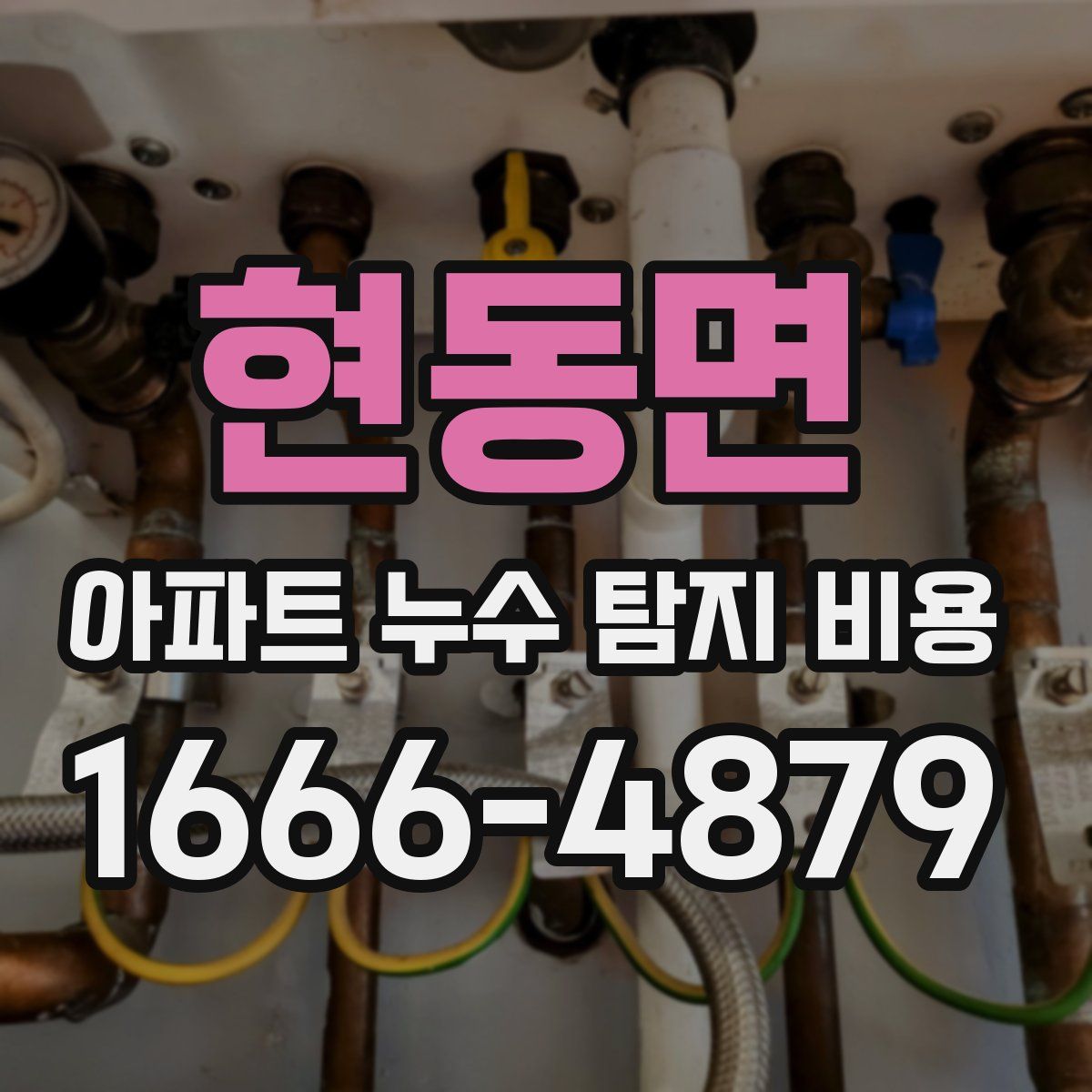 현동면 아파트 누수 탐지 비용