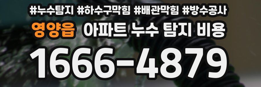 영양읍 아파트 누수 탐지 비용
