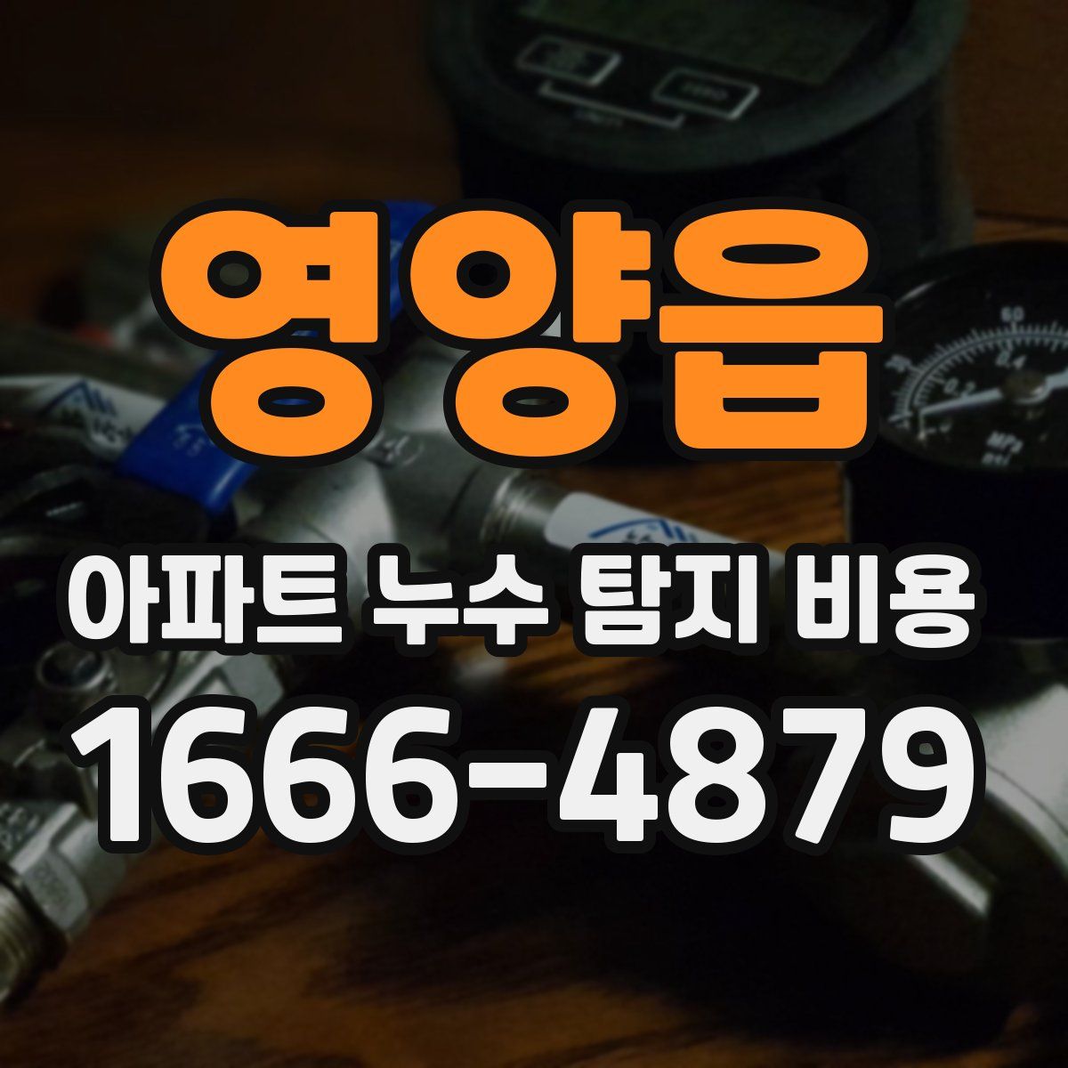 영양읍 아파트 누수 탐지 비용