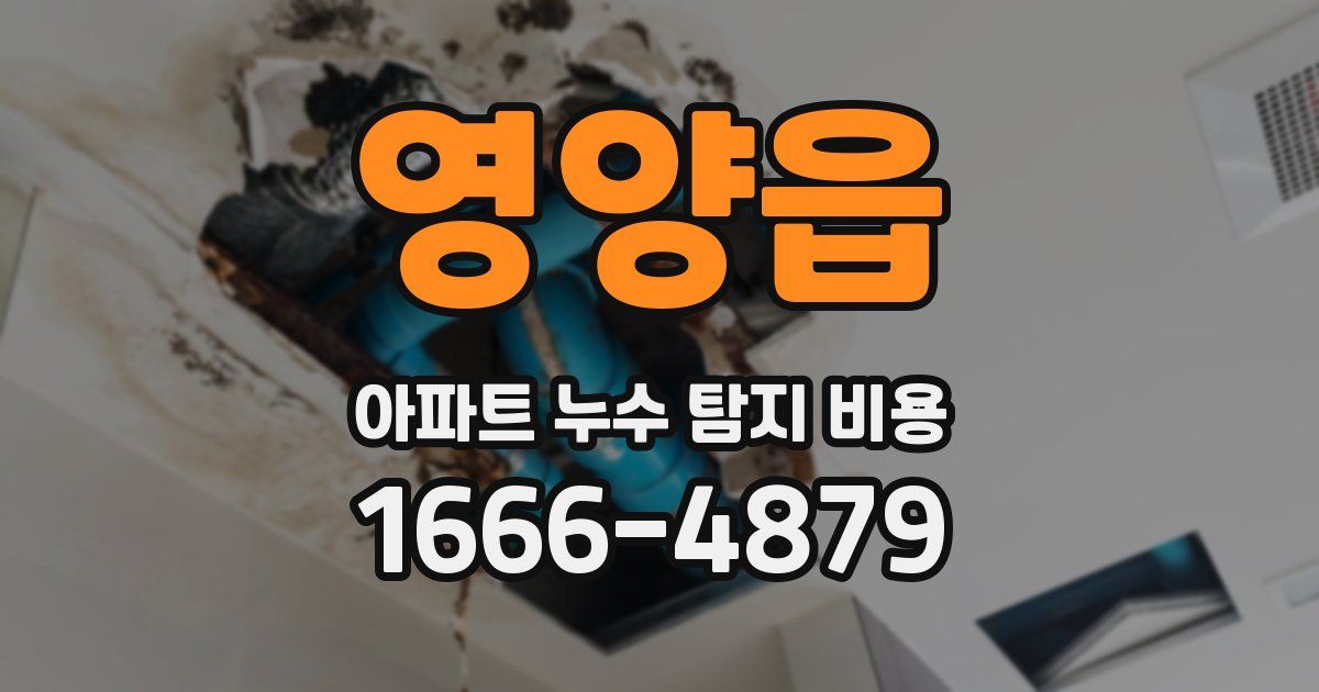 영양읍 아파트 누수 탐지 비용