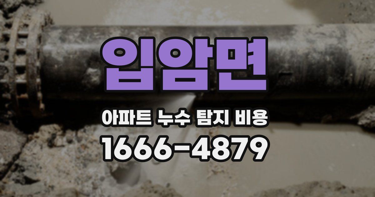 입암면 아파트 누수 탐지 비용
