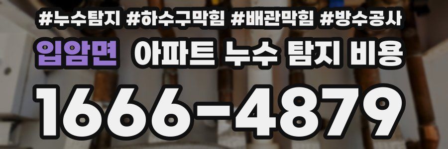 입암면 아파트 누수 탐지 비용