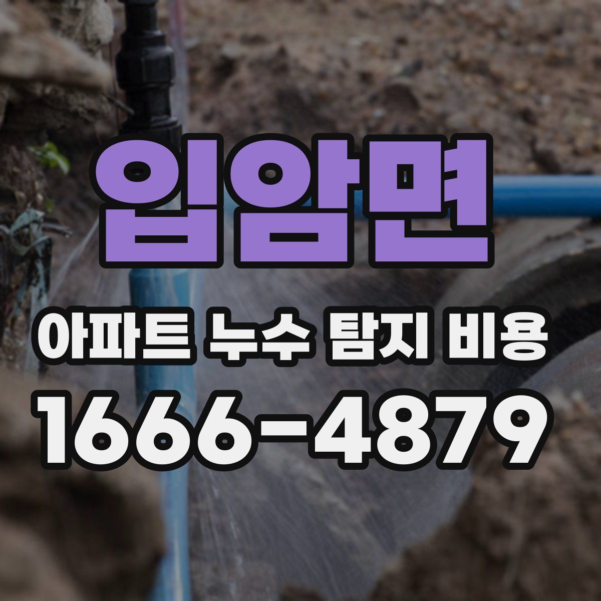입암면 아파트 누수 탐지 비용