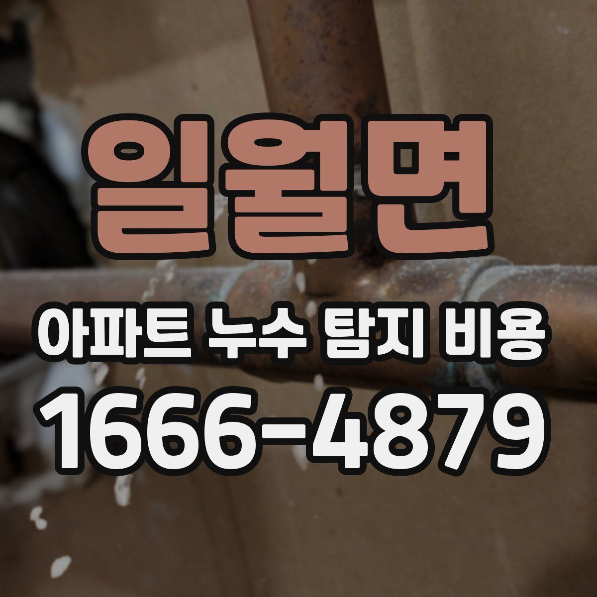 일월면 아파트 누수 탐지 비용