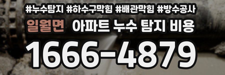 일월면 아파트 누수 탐지 비용