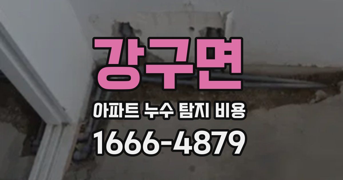 강구면 아파트 누수 탐지 비용