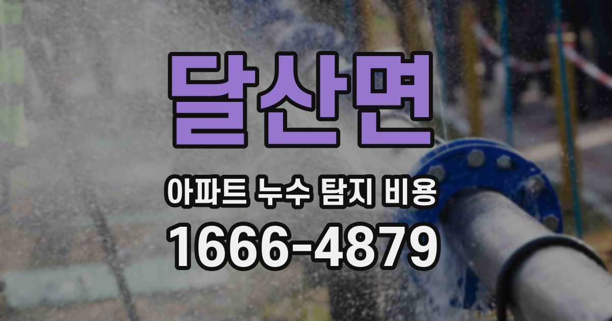 달산면 아파트 누수 탐지 비용