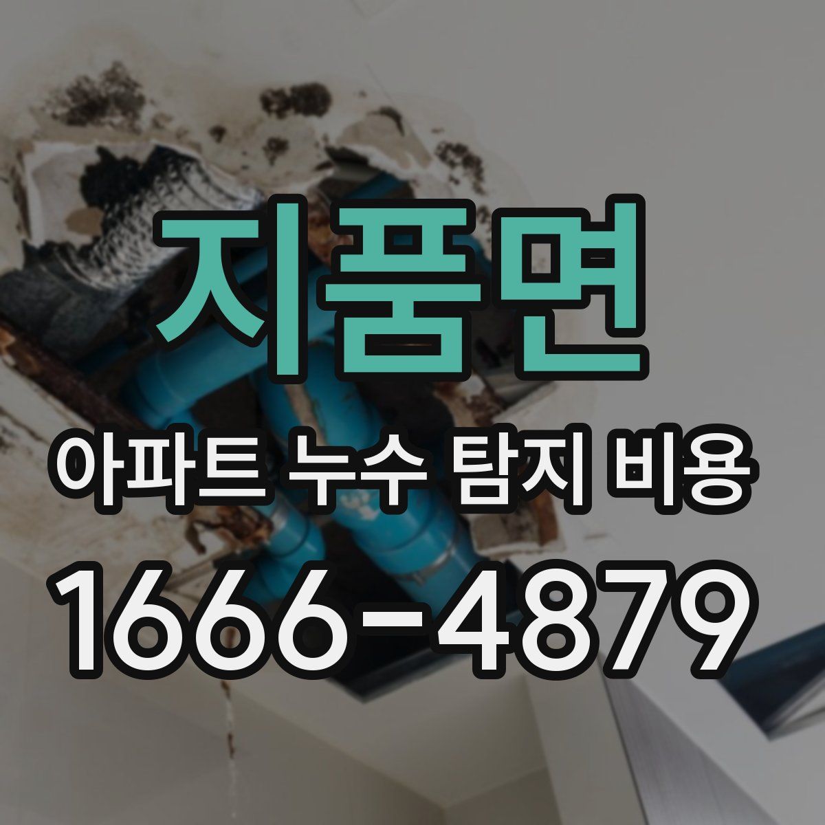 지품면 아파트 누수 탐지 비용