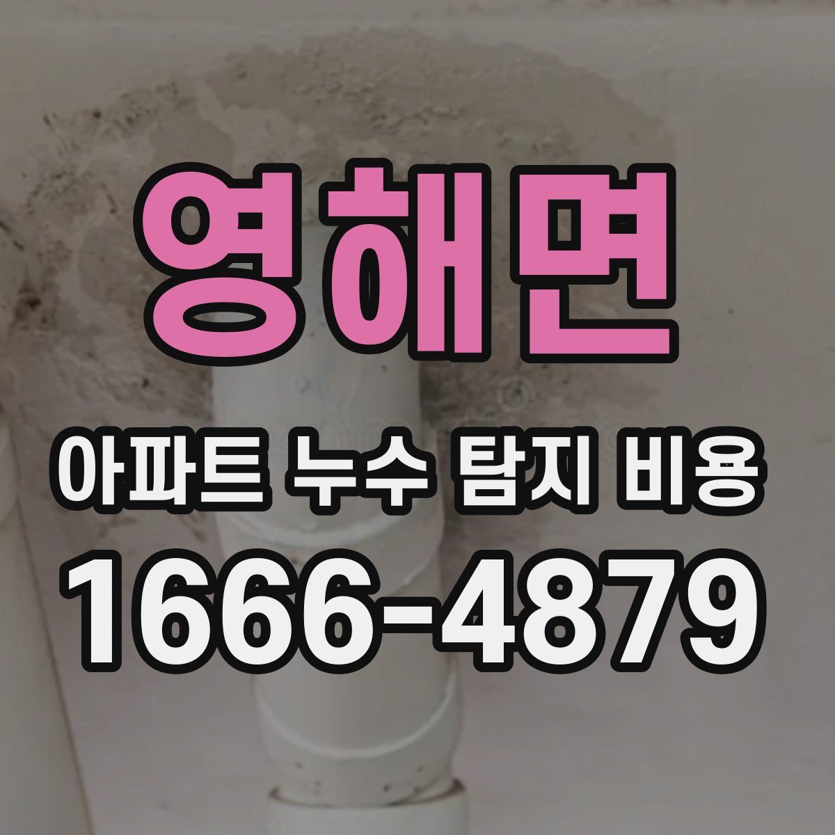 영해면 아파트 누수 탐지 비용