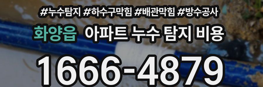 화양읍 아파트 누수 탐지 비용