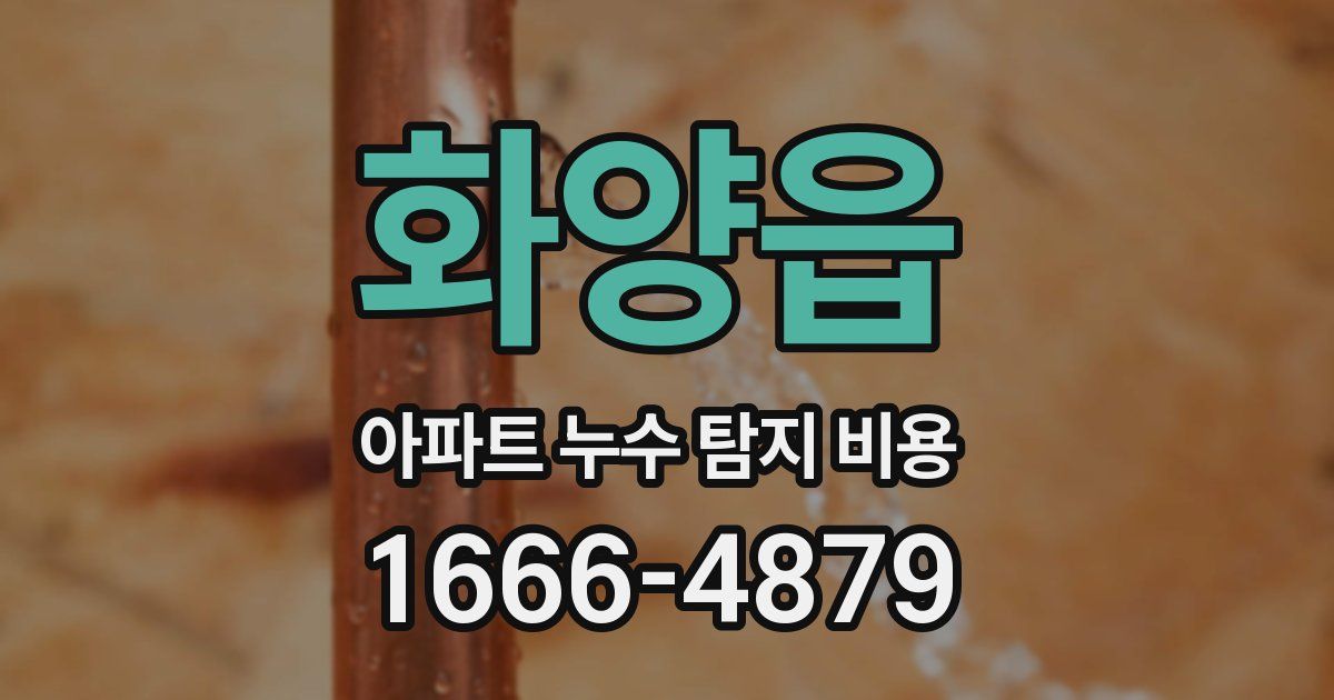화양읍 아파트 누수 탐지 비용