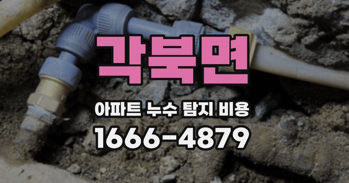 각북면 아파트 누수 탐지 비용
