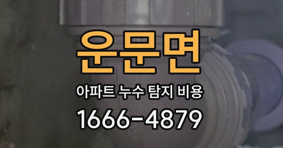 운문면 아파트 누수 탐지 비용