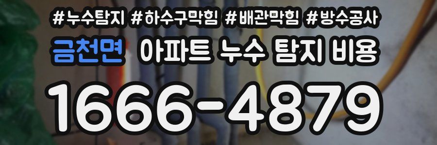 금천면 아파트 누수 탐지 비용
