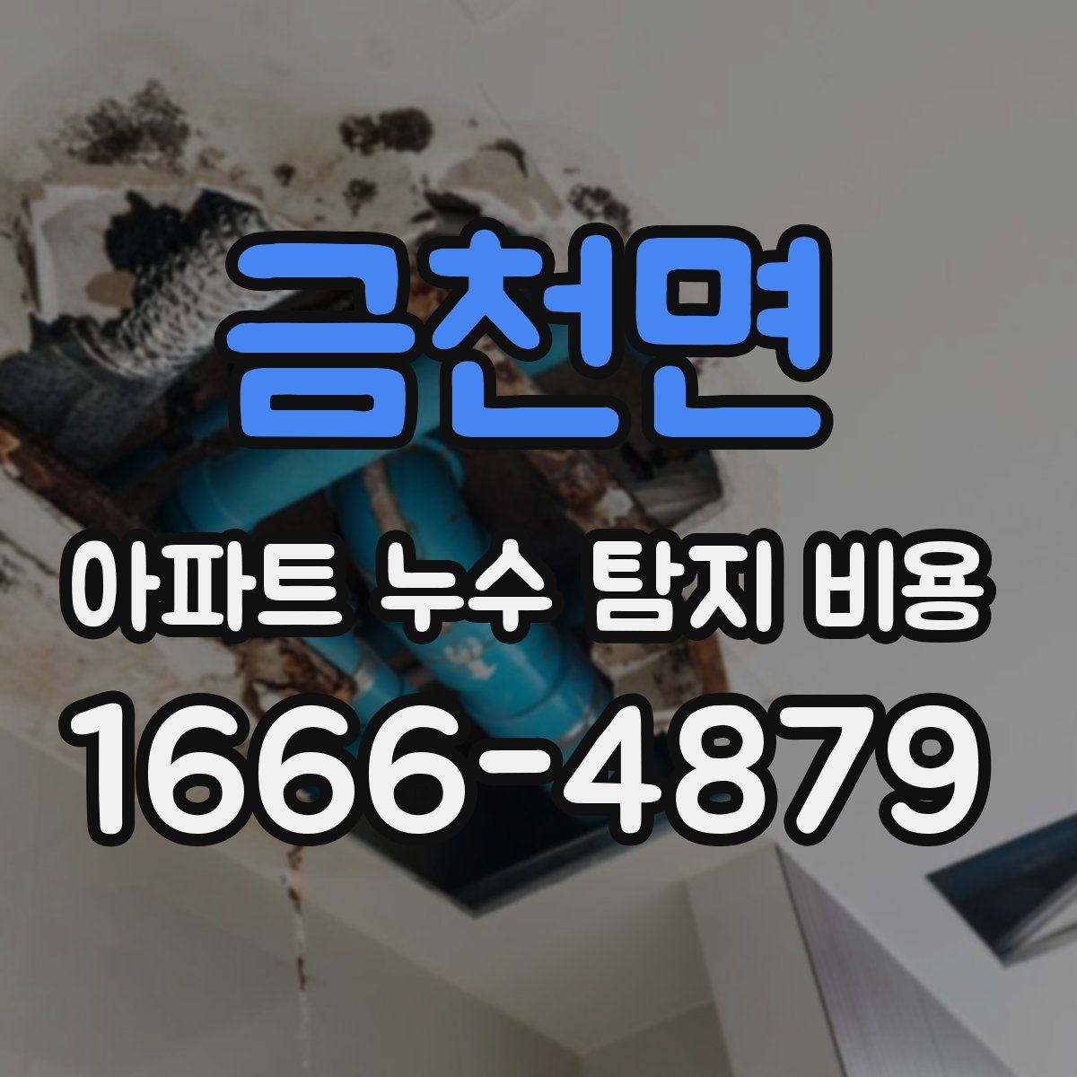 금천면 아파트 누수 탐지 비용