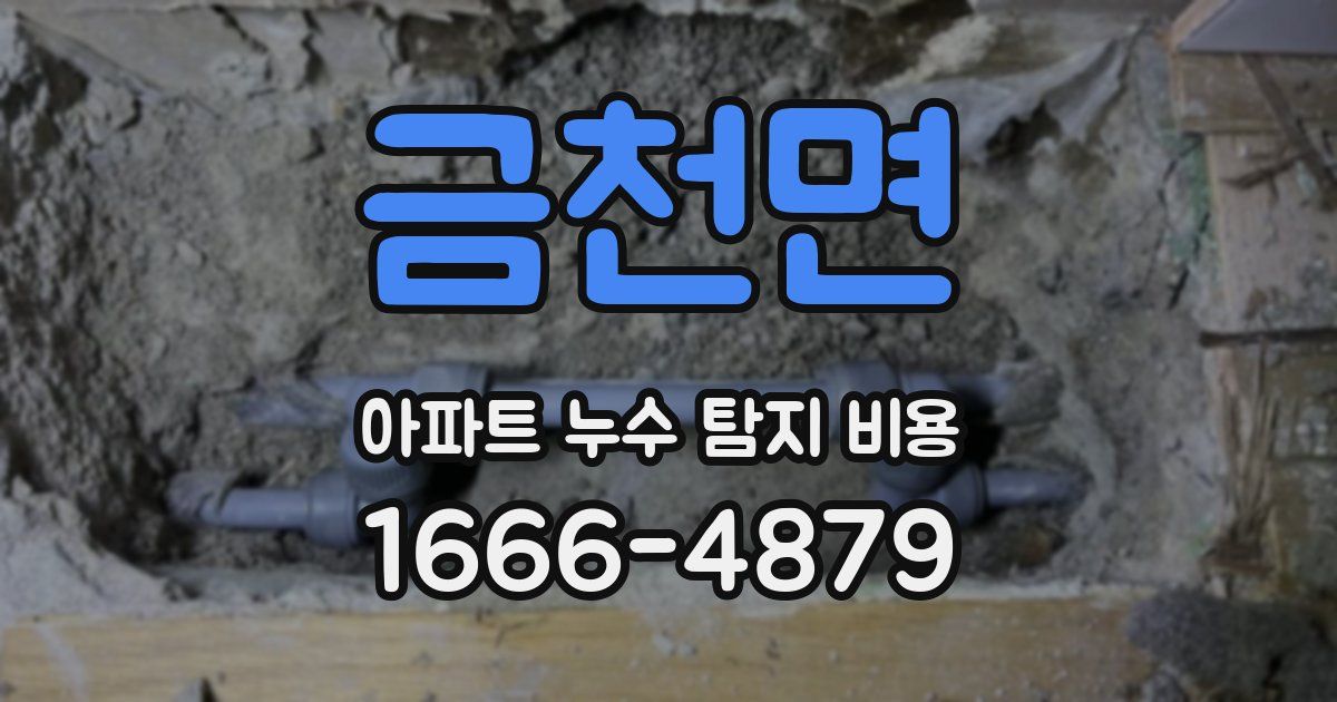 금천면 아파트 누수 탐지 비용