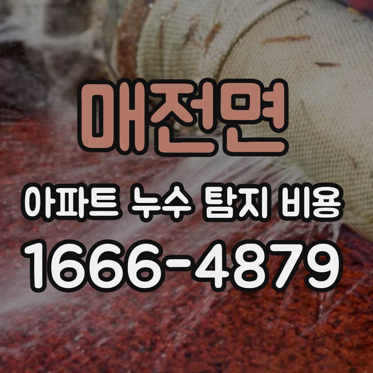 매전면 아파트 누수 탐지 비용
