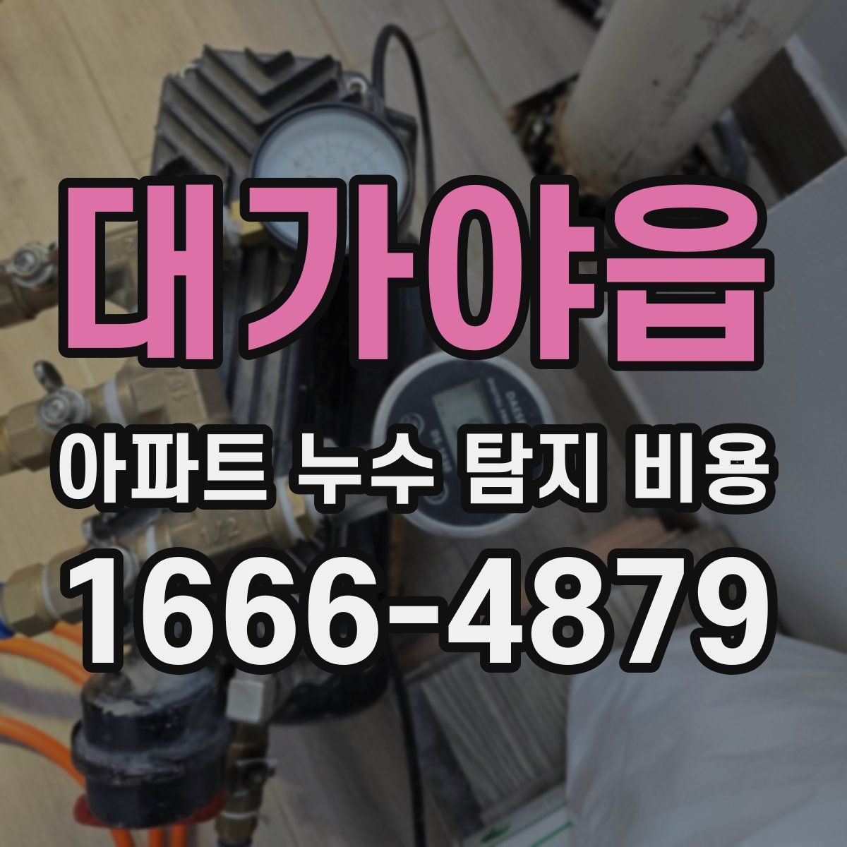 대가야읍 아파트 누수 탐지 비용