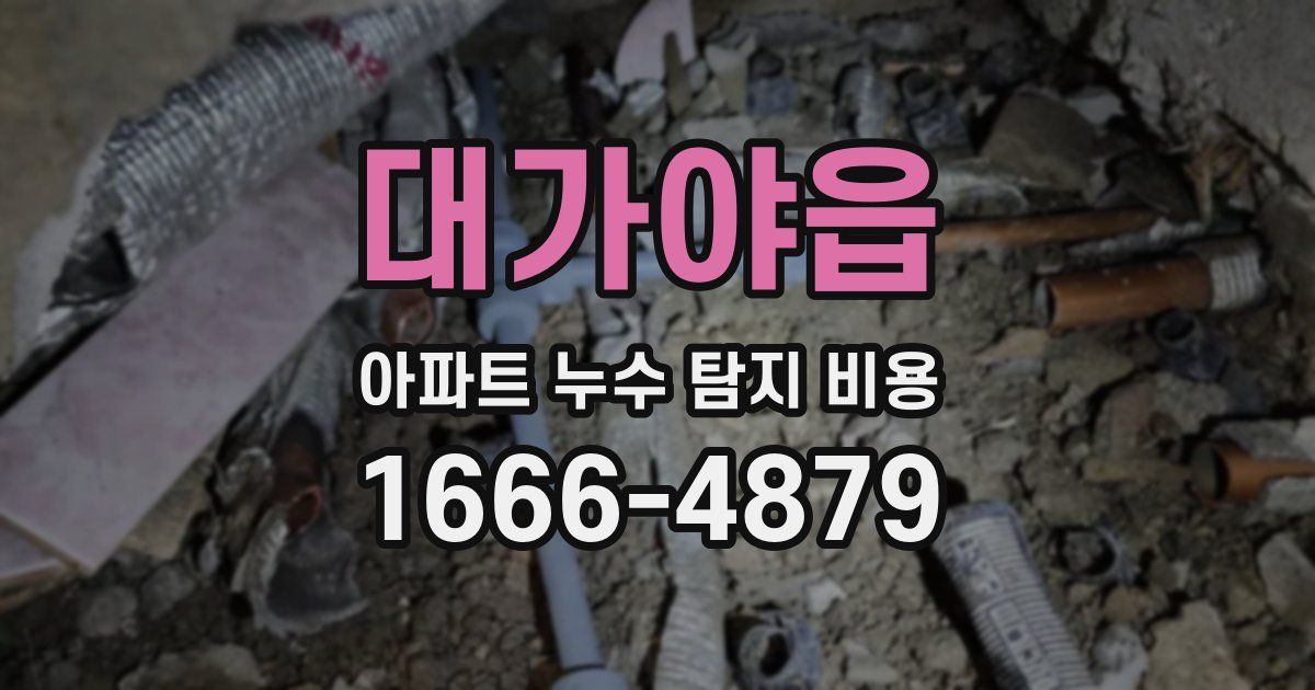 대가야읍 아파트 누수 탐지 비용