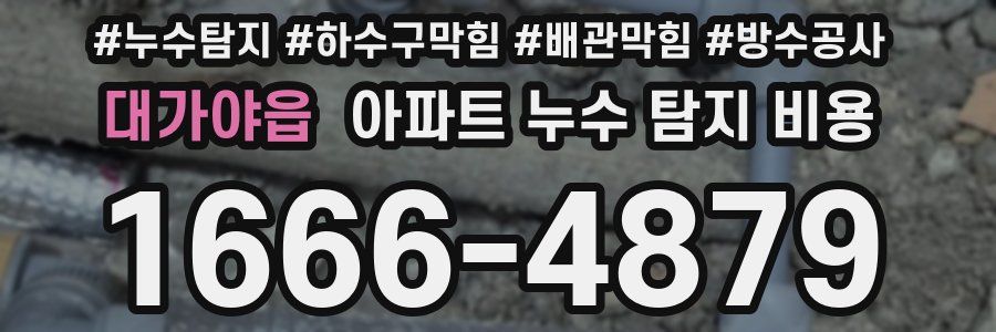 대가야읍 아파트 누수 탐지 비용