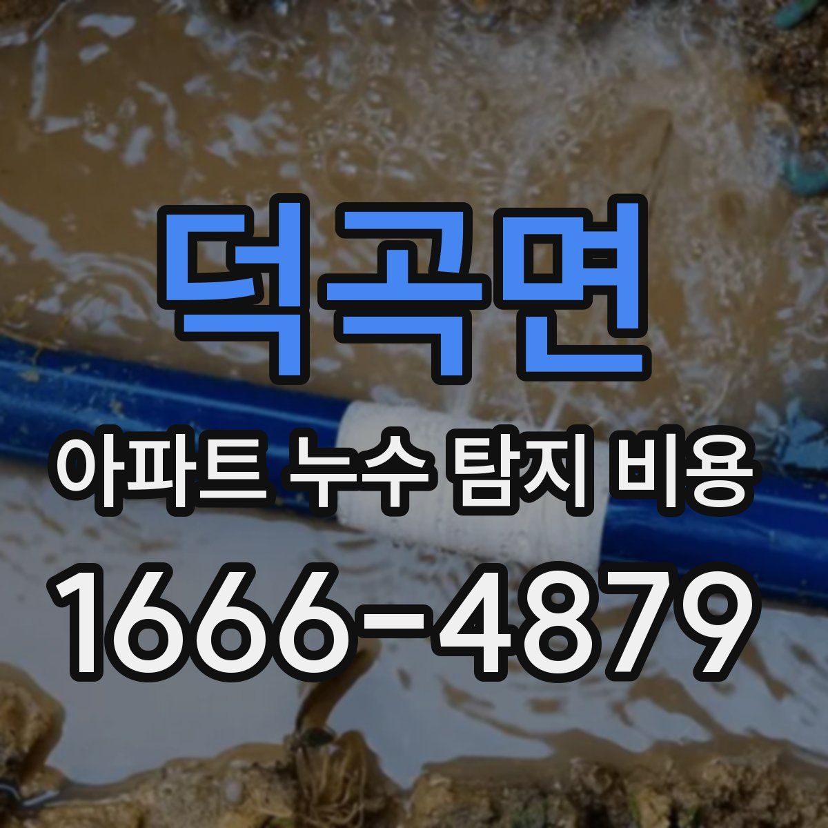 덕곡면 아파트 누수 탐지 비용