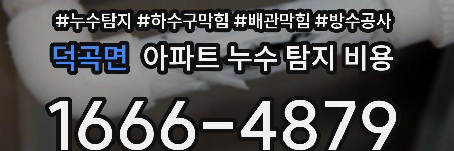 덕곡면 아파트 누수 탐지 비용